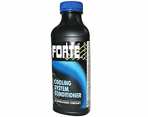 ���� ������� FORTE