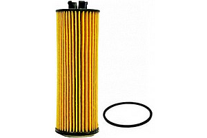 ���� ��� ������ ����� ����� 