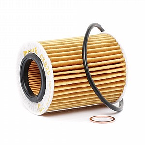 ���� ��� �.�.�� KNECHT ����� 